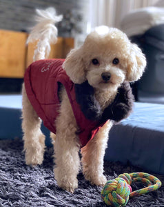 Red Coat