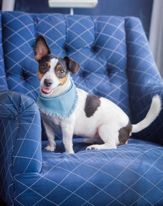 Denim Bandana