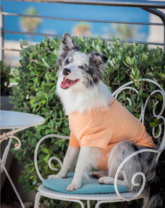 Orange T-Shirt