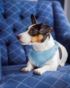 Denim Bandana