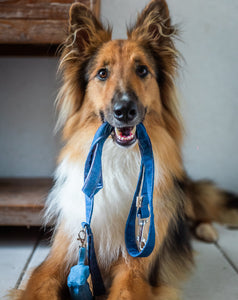 Denim collar