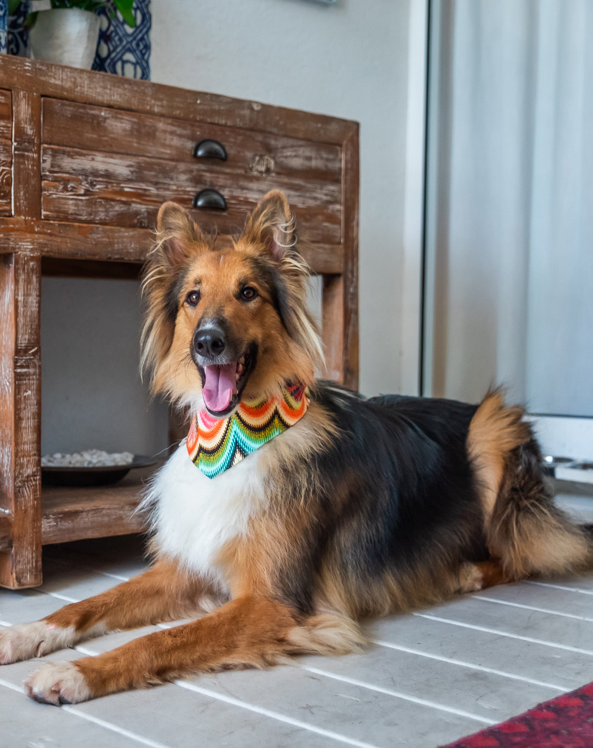 Party Bandana