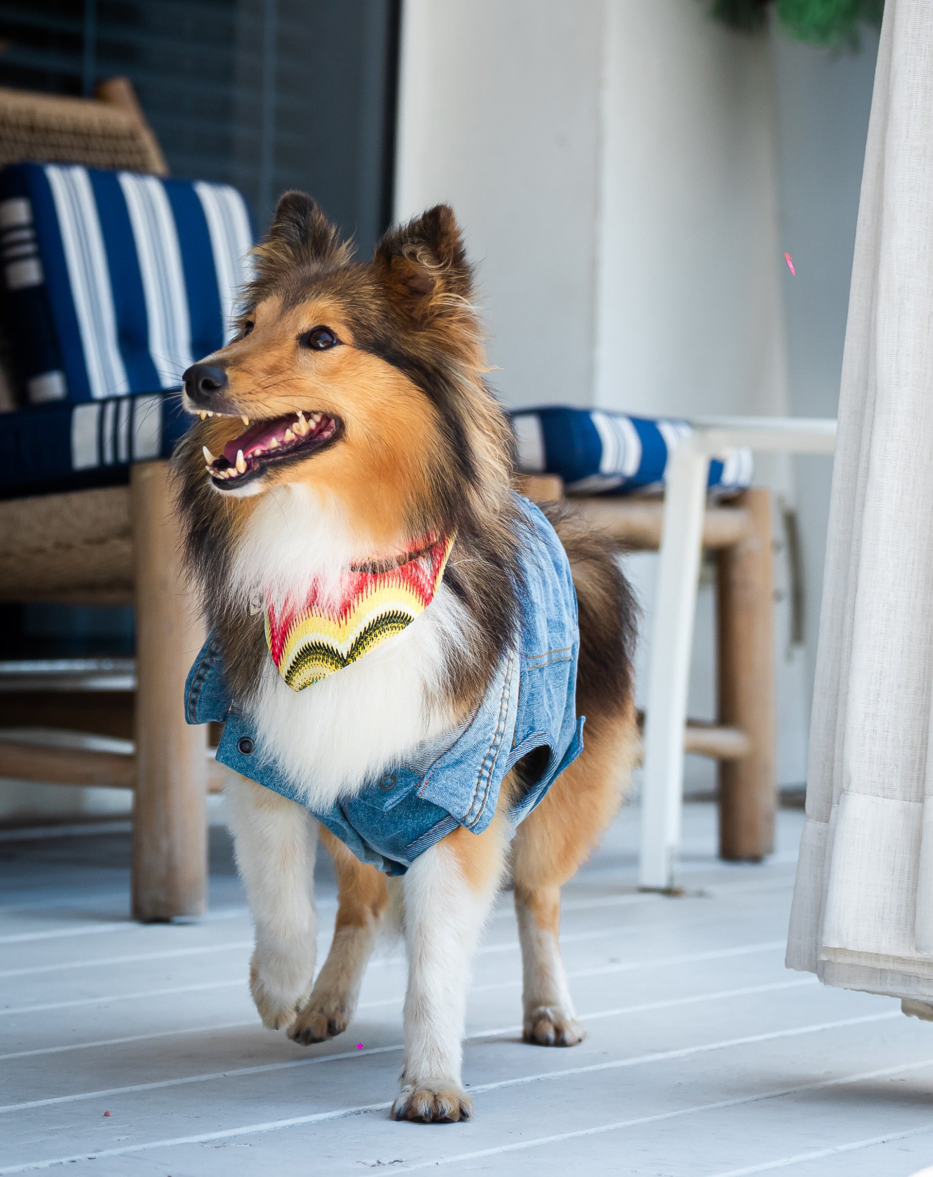 Party Bandana