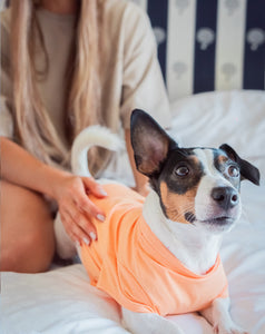 Orange T-Shirt