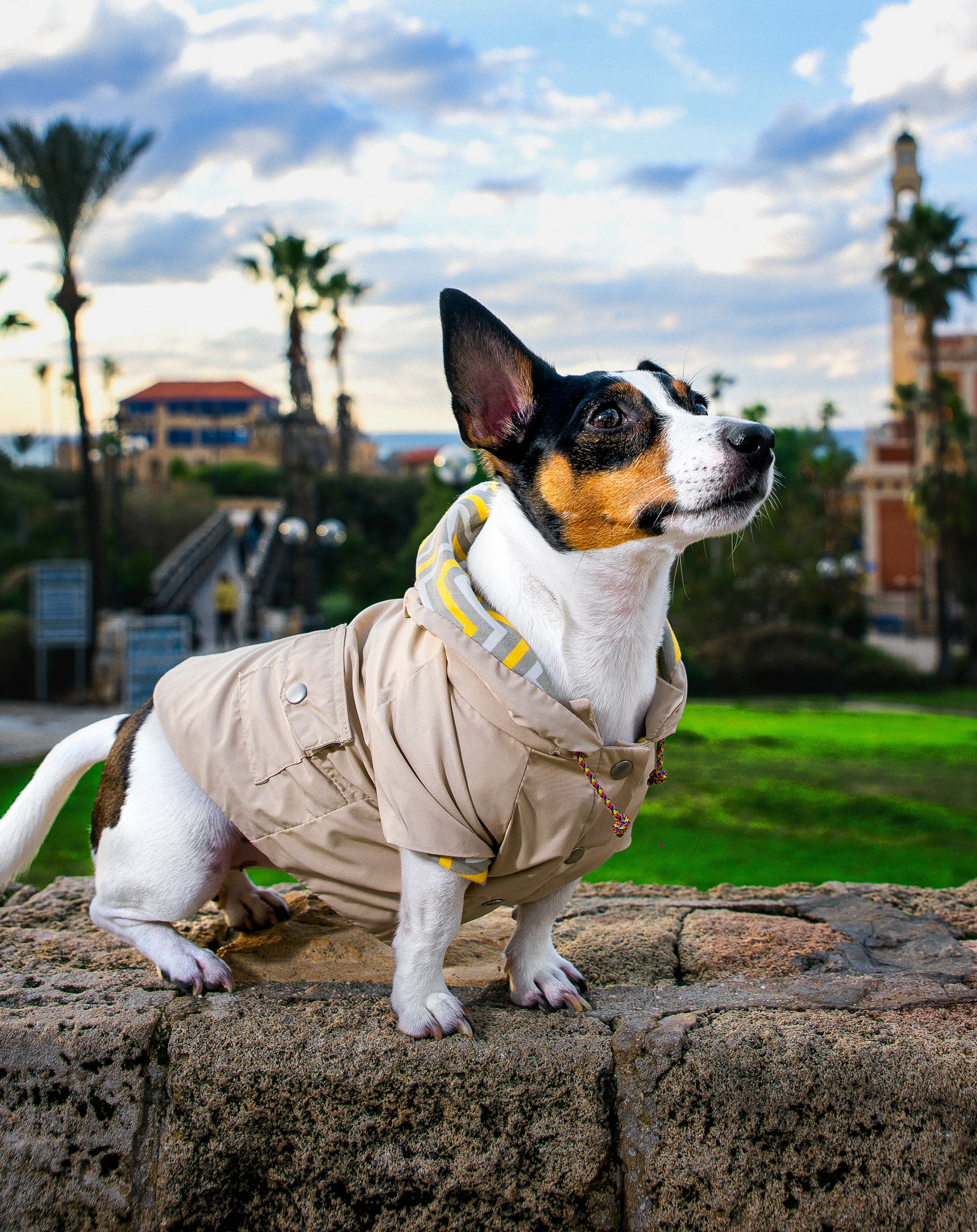 Sherlock Rain coat