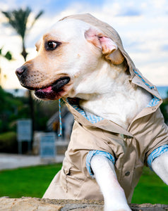 Sherlock Rain coat