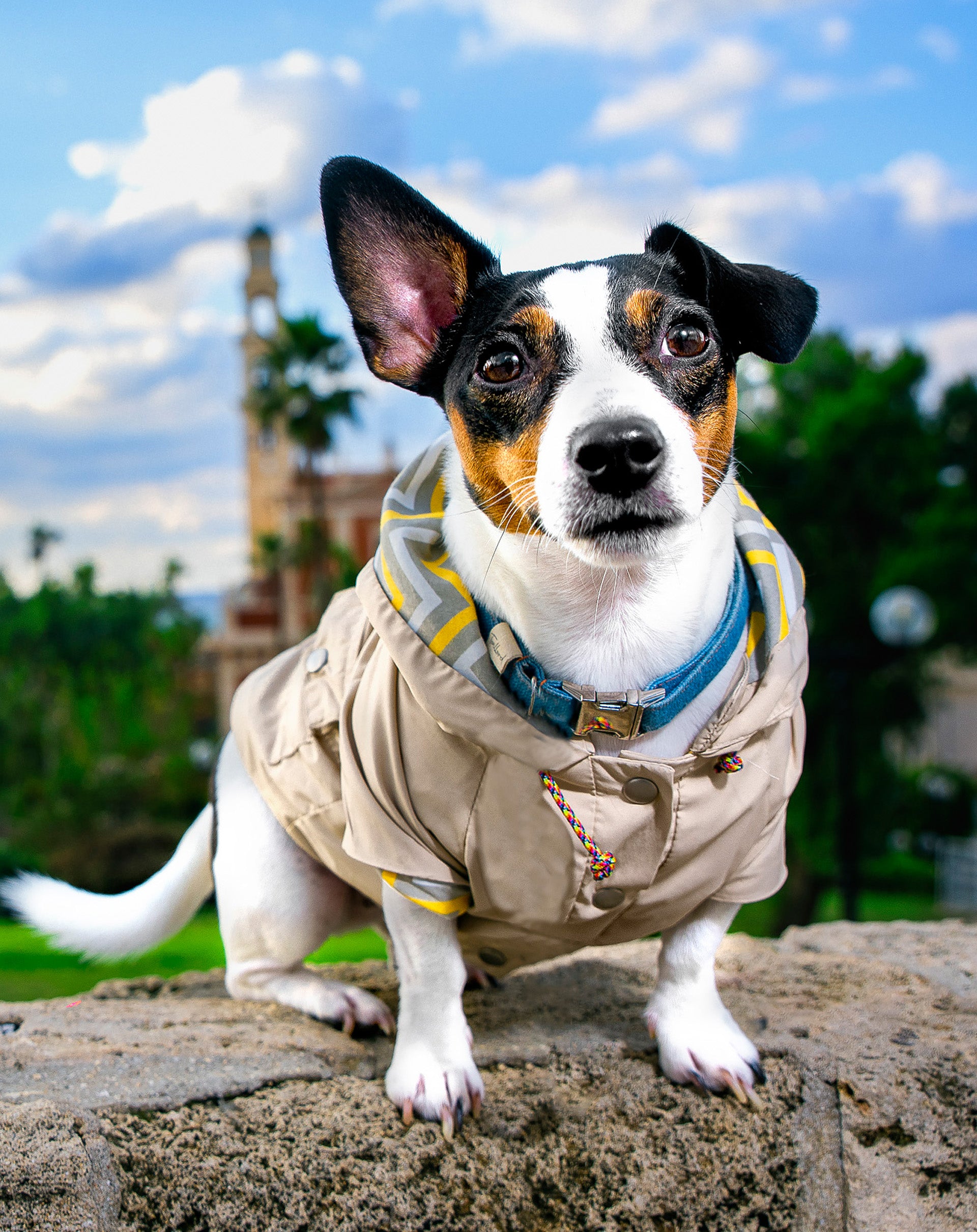 Sherlock Rain coat