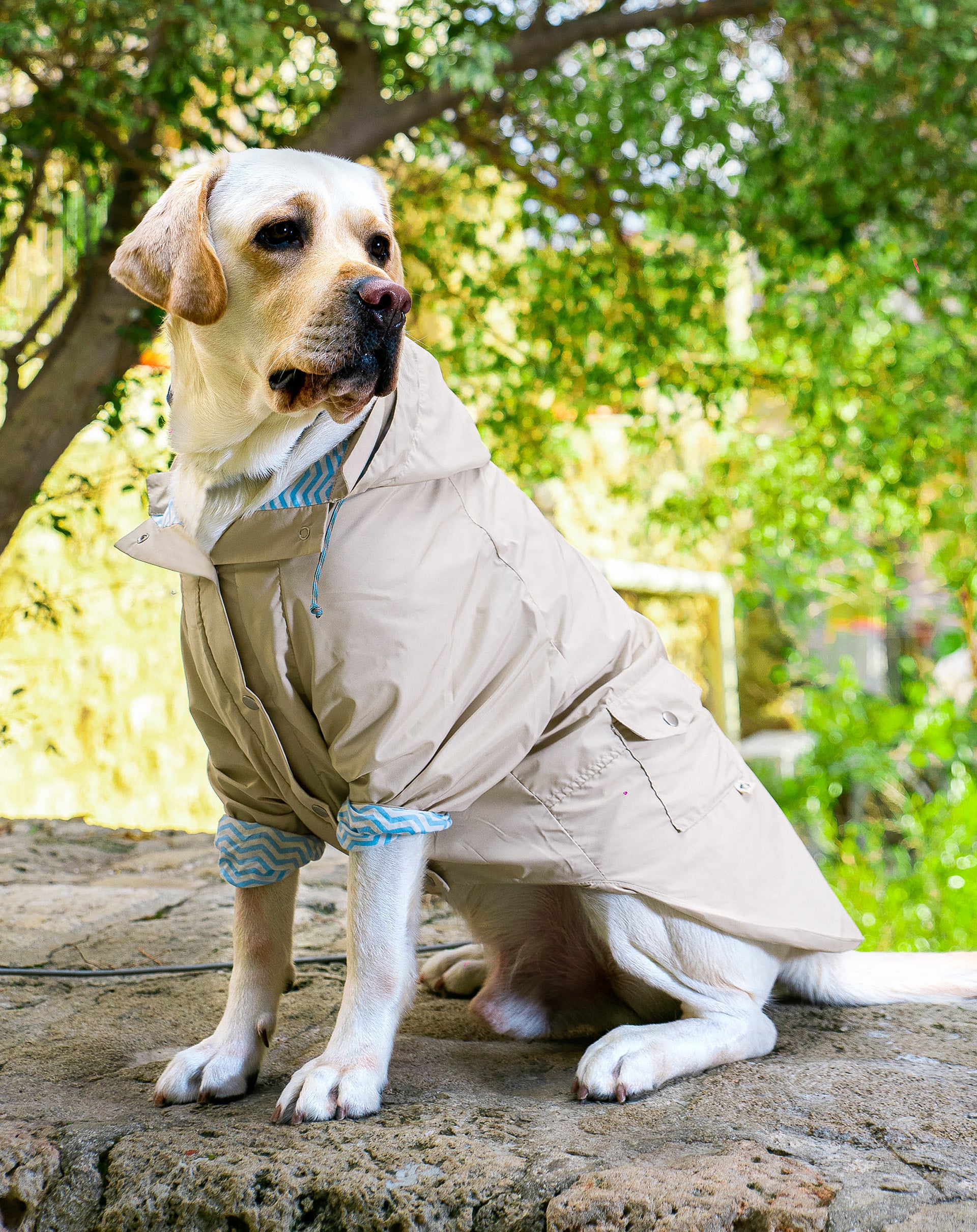 Sherlock Rain coat