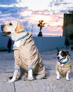 Sherlock Rain coat